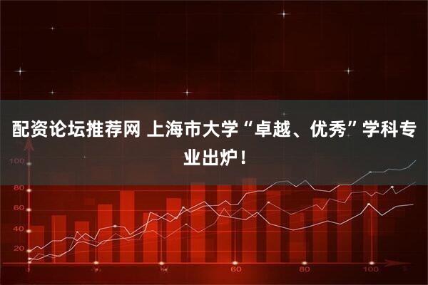 配资论坛推荐网 上海市大学“卓越、优秀”学科专业出炉！